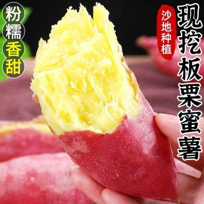 红薯新鲜沙地蜜薯板栗红薯糖心地瓜香薯山芋农家自种现挖红皮黄心