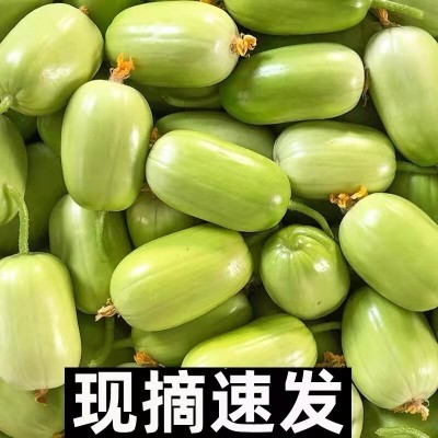 黄瓜新鲜玉女黄瓜水果小黄瓜拇指黄瓜生吃青瓜东北旱白玉黄瓜蔬菜图2