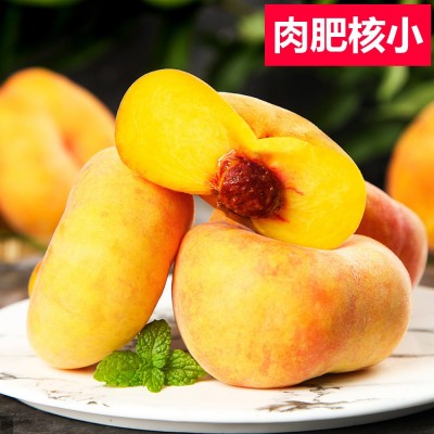 蒙阴黄蟠桃新鲜毛桃孕妇时令水果沂蒙山脆桃子山东桃当季黄桃整箱