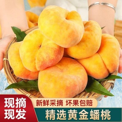 蒙阴黄蟠桃新鲜毛桃孕妇时令水果沂蒙山脆桃子山东桃当季黄桃整箱图3