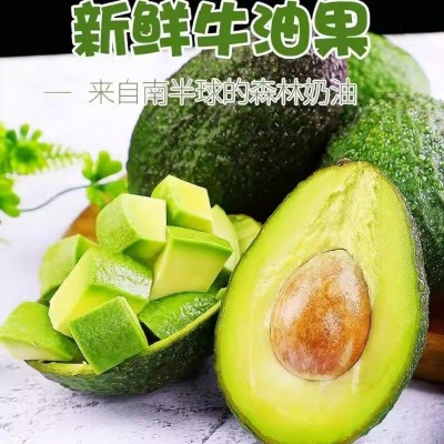智利进口牛油果新鲜水果应季宝宝辅食熟透鳄梨孕妇水果软糯包邮