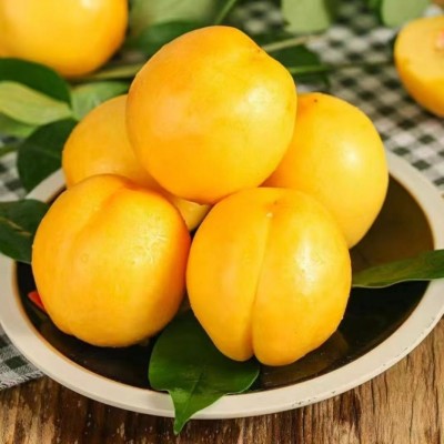 应季蒙阴黄金大油桃甜脆桃子非毛桃新鲜果一件代发5斤抖音直供9月图3