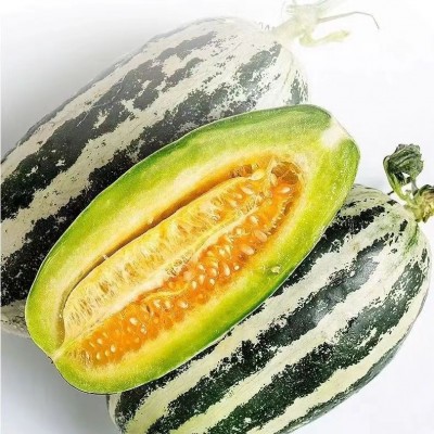 现摘现发山东博洋9号小甜瓜蜜瓜小香瓜非羊角蜜5斤抖音一件代发图2