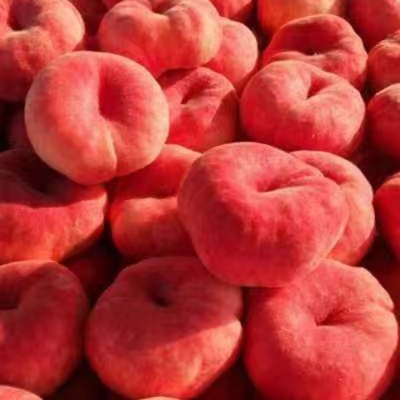 现摘现发河北水蜜桃毛蟠桃白肉蟠桃5斤甜脆新鲜水果桃子抖音小红图3