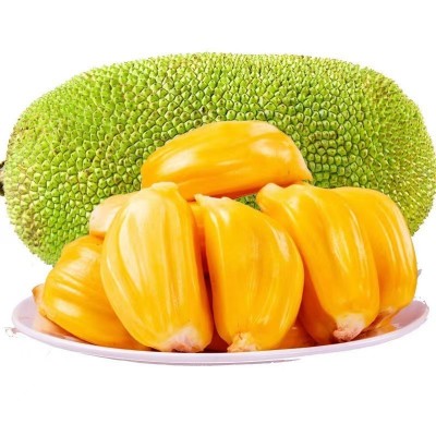 代发供应海南黄肉菠萝蜜 新鲜热带水果大树密冬瓜非红肉波罗蜜图4