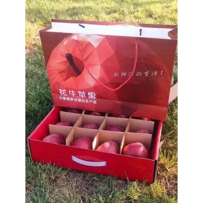 长期供应甘肃天水花牛苹果 代发3斤9斤新鲜应季水果甜糯红蛇果图4