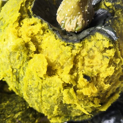 迷你贝贝南瓜惠和一号进口种源贝贝小宝宝辅食正宗贝贝南瓜礼盒图4