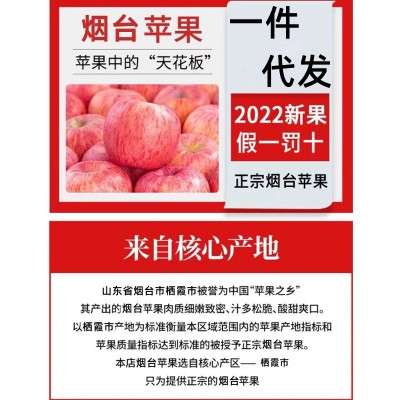 【全年供应】山东烟台红富士苹果生鲜水果新鲜应季脆甜整箱批发图3