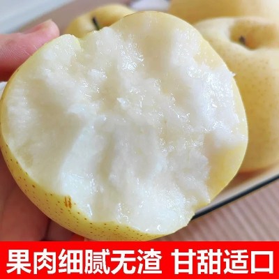 烟台黄金梨梨子新鲜当季应季水果整箱莱阳黄金梨雪梨白梨5/10斤图3