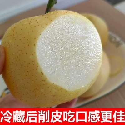 烟台黄金梨梨子新鲜当季应季水果整箱莱阳黄金梨雪梨白梨5/10斤图2