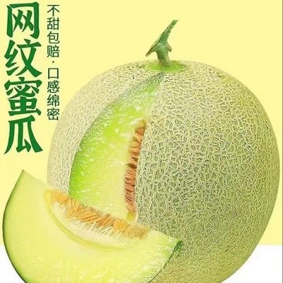 现摘山东海阳网纹瓜5斤新鲜甜瓜哈密瓜旗舰店一箱水果整箱香瓜批图4