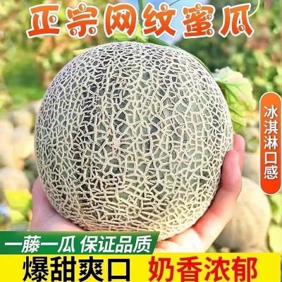 现摘山东海阳网纹瓜5斤新鲜甜瓜哈密瓜旗舰店一箱水果整箱香瓜批图3