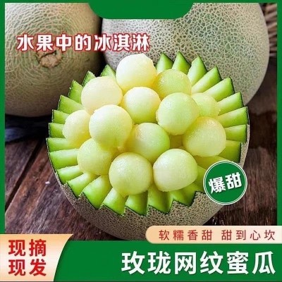 现摘山东海阳网纹瓜5斤新鲜甜瓜哈密瓜旗舰店一箱水果整箱香瓜批图2