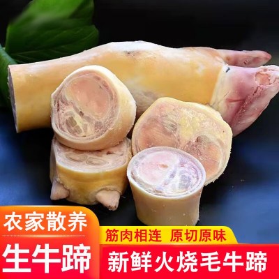 【零售】新鲜牛蹄整只带筋带骨牛脚火烧去毛黄牛蹄子冷冻生鲜食材图2