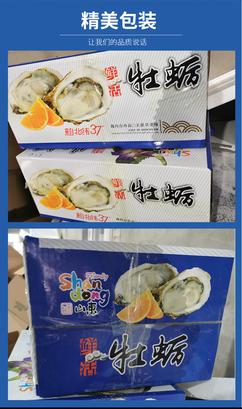 海蛎子_10