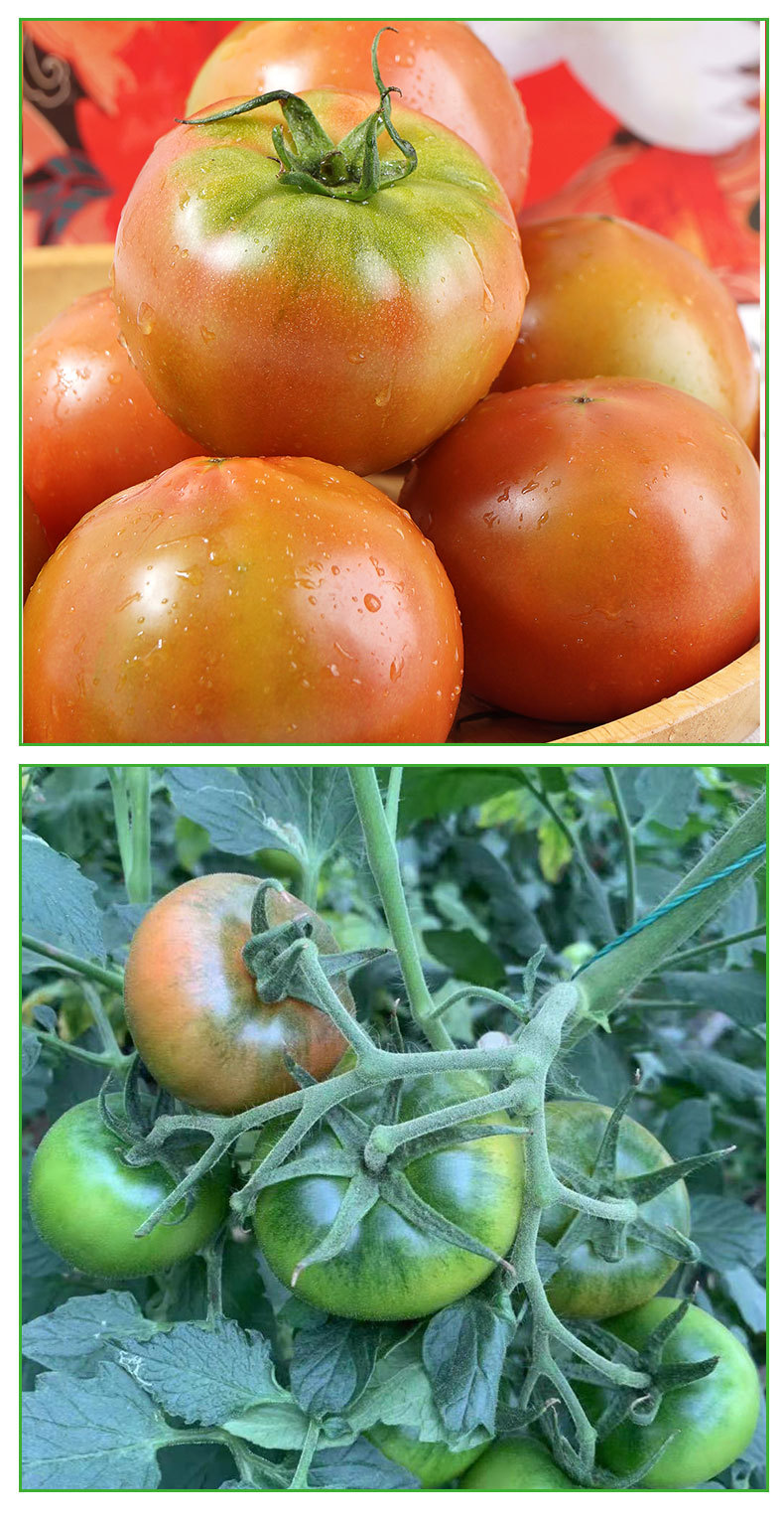 af803e50d879dafe2933c2370eef25