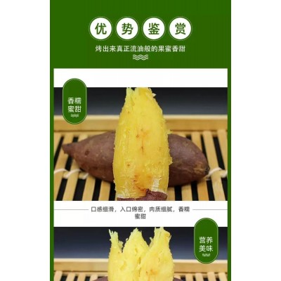 日本玛莎莉红薯高端品种红皮黄肉现挖现卖老少皆宜图2
