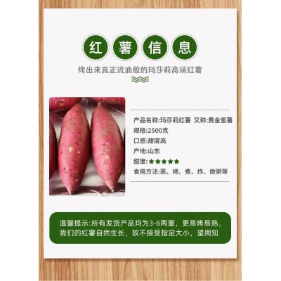 日本玛莎莉红薯高端品种红皮黄肉现挖现卖老少皆宜图4