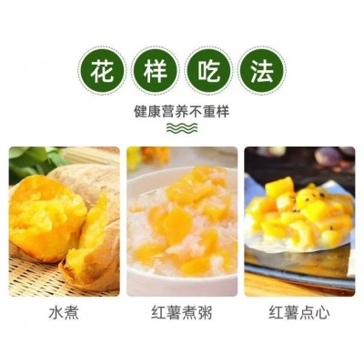 日本玛莎莉红薯高端品种红皮黄肉现挖现卖老少皆宜图5