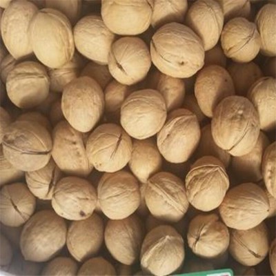 新疆薄皮33核桃阿克苏特产生核桃坚果原料500g起大量现货一件代发图2