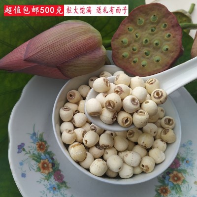 大颗湘潭莲子干货500g无芯莲子米去芯磨皮白莲子去心湘莲湖南产地图2