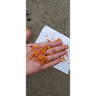 大量供应脱水红薯粒低温烘焙五谷地瓜丁10*10*10规格可定红薯地瓜图4