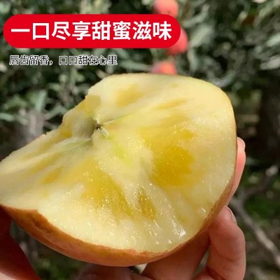 新疆阿克苏冰糖心苹果水果特级大果新鲜丑苹果整箱10斤顺丰包邮图3
