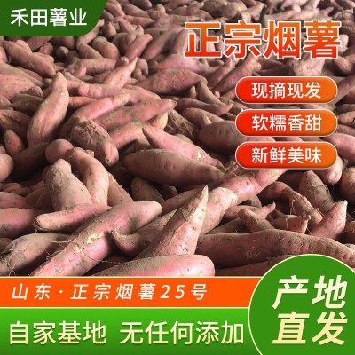 批发正宗烟红蜜薯红薯软糯香甜新鲜现挖红薯沙地红心小香薯地瓜图2