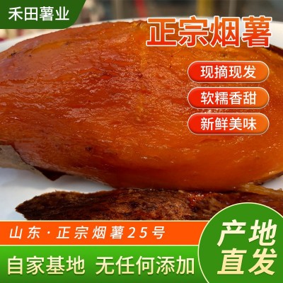批发正宗烟红蜜薯红薯软糯香甜新鲜现挖红薯沙地红心小香薯地瓜图4