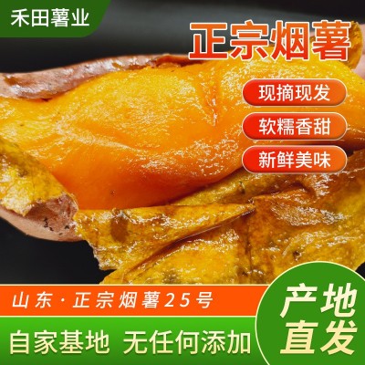 《烤薯规格》烟薯25号蜜薯糖心红薯新鲜番薯农家自种沙地唐山地瓜