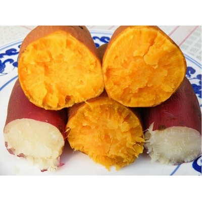 现货出售 黄心红薯 农产品红薯 红薯红薯图5