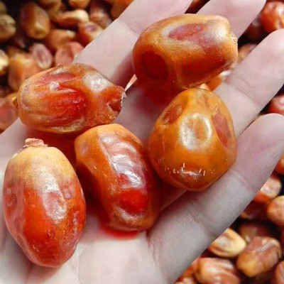 椰枣批发 电商货源自然吊干大颗粒蜜枣 箱装散货伊拉克黄金椰枣图4