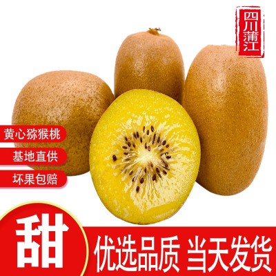 四川蒲江黄心猕猴桃奇异果孕妇水果新鲜应季当季水果一件批发