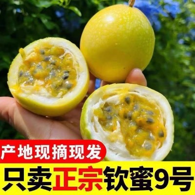 江西赣南钦密9号黄金百香果图3