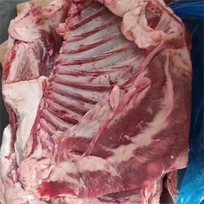 澳大利亚大羊排原装进口澳洲2309冷冻绵羊排量大谈价图4