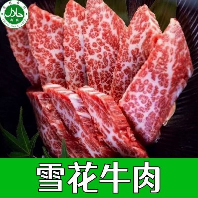 清真原装原切雪花牛肉 精选部位 整切大块适合烧烤 煎 涮火锅图4