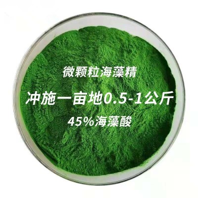 多糖海藻酸水溶冲施肥蔬菜瓜果促生根促花膨果增产酶解绿色海藻精图2