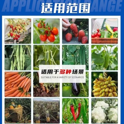 多糖海藻酸水溶冲施肥蔬菜瓜果促生根促花膨果增产酶解绿色海藻精图4
