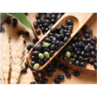 有机黑豆450g批发零售支持OEM贴牌代工生产一件代发图5