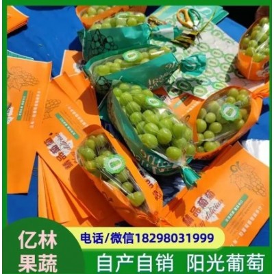 无籽青提 含有多种维生素和矿物质 果粒着生紧密图2
