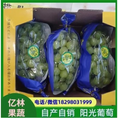 无籽青提 含有多种维生素和矿物质 果粒着生紧密图3