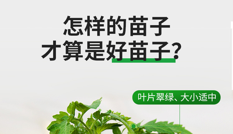 彩包_01