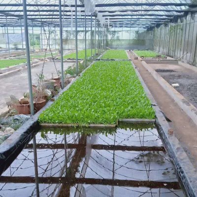 生升育苗基质蔬菜瓜类草莓穴盘漂浮百香果扦插育苗多肉营养培养土图3