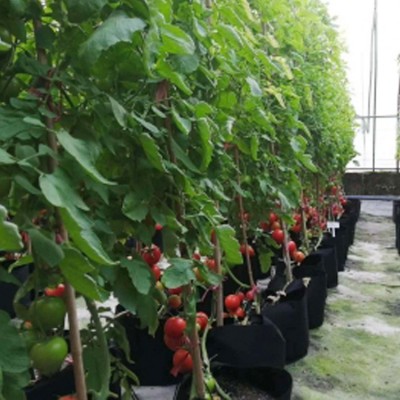 栽培基质阳台种菜土花土种植土椰糠土泥炭土草炭有机土营养土批发图4