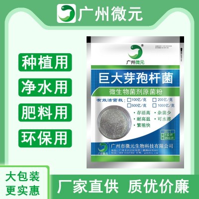 农用微生物菌剂巨大芽孢杆菌200亿/克 巨大芽孢杆菌在水产的作用图2