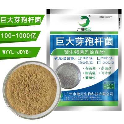 农用微生物菌剂巨大芽孢杆菌200亿/克 巨大芽孢杆菌在水产的作用图3