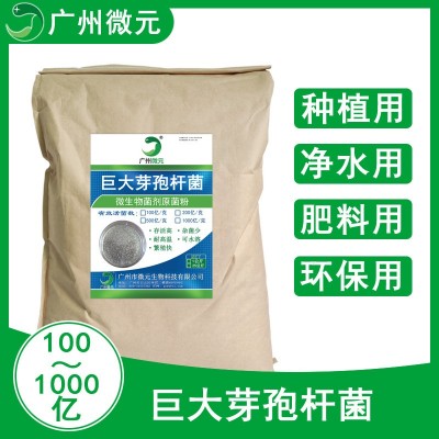 农用微生物菌剂巨大芽孢杆菌200亿/克 巨大芽孢杆菌在水产的作用图4