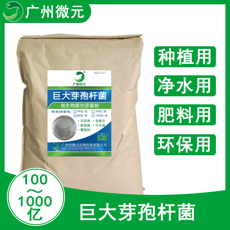 巨大芽孢杆菌大包装副本.jpg