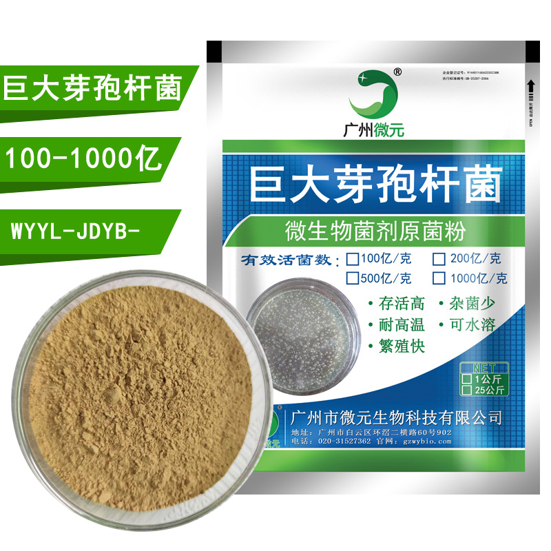 巨大芽孢杆菌100-1000亿副本.jpg