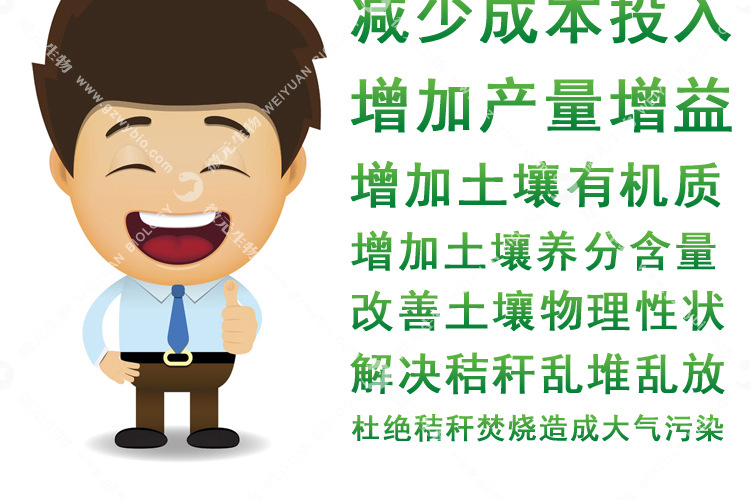 粗纤维降解菌_030